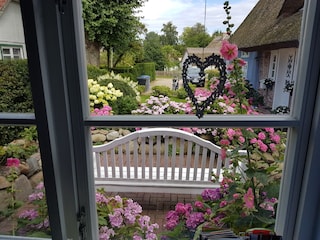 Kleines Haus - Blick aus dem Wohnzimmer