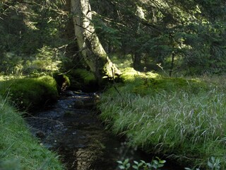 Appartamento per vacanze Breitenberg Ambiente 23