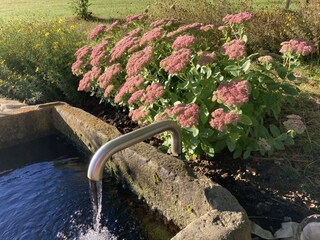 Appartamento per vacanze Breitenberg Registrazione all'aperto 6