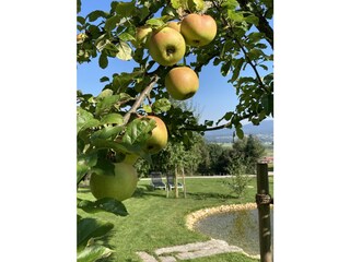 Appartamento per vacanze Breitenberg Registrazione all'aperto 7