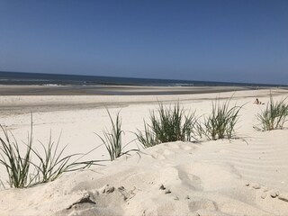 Appartement Callantsoog Environnement 27