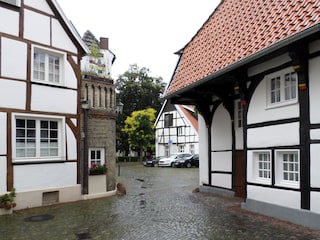 Schweinemarkt