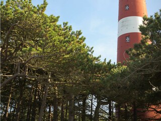 Casa per le vacanze Hollum Ambiente 24