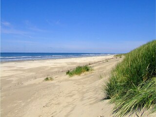 Vakantiehuis Hollum Omgeving 25