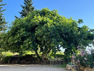 Villa Rio nell'Elba Buitenaudio-opname 16