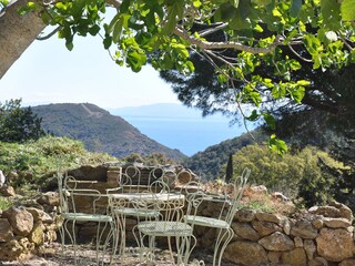 Blick auf den Garten von der Villa Rosa dei Venti