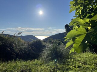 Villa Rio nell'Elba Buitenaudio-opname 10