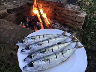 Villa Rio nell'Elba Buitenaudio-opname 14