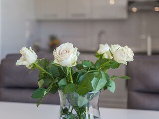 Apartamento de vacaciones Porec Características 16