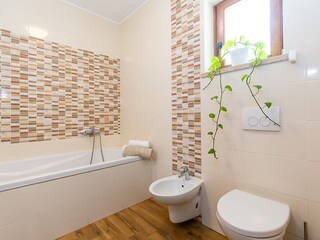 Villa Tinjan Caratteristiche 21