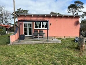 Moderne bungalow in Pepelow aan het strand - Pepelow - image1