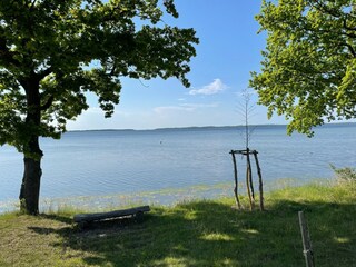 Bungalow Pepelow Environnement 21