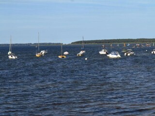 Bungalow Pepelow Environnement 25