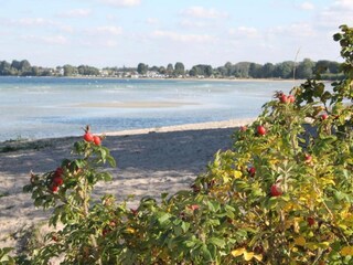 Bungalow Pepelow Environnement 27