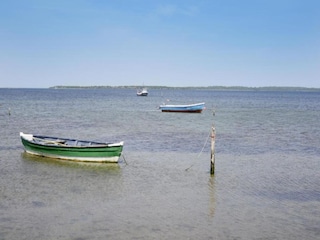 Bungalow Pepelow Environment 37