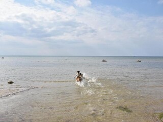 Bungalow Pepelow Omgeving 33