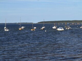 Bungalow Pepelow Environnement 21