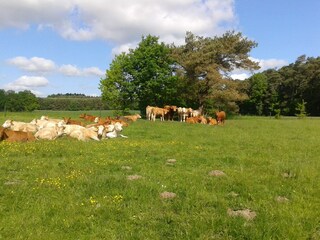 Apartamento Stubbendorf Grabación al aire libre 3