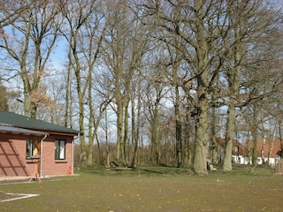 Apartment Stubbendorf Umgebung 42