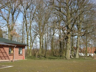 Appartement Stubbendorf Omgeving 26