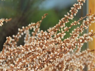 Apartamento Stubbendorf Grabación al aire libre 5