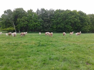 Apartment Stubbendorf Außenaufnahme 2