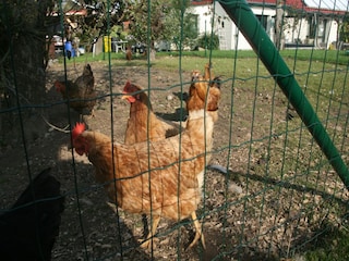 Apartment Kägsdorf Außenaufnahme 12