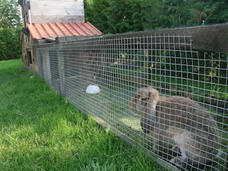 Apartment Kägsdorf Außenaufnahme 8