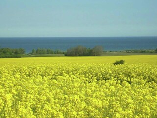 Appartement Kägsdorf Environnement 33