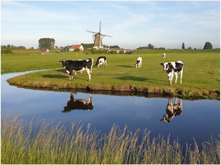 Casa per le vacanze Roelofarendsveen Registrazione all'aperto 4