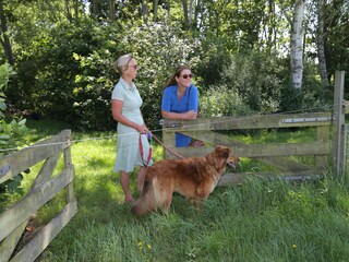 Casa per le vacanze Roelofarendsveen Registrazione all'aperto 8