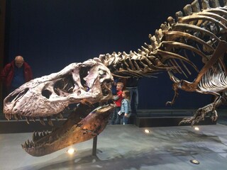 Casa per le vacanze Roelofarendsveen Ambiente 35