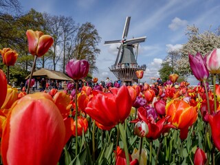 Casa per le vacanze Roelofarendsveen Ambiente 36