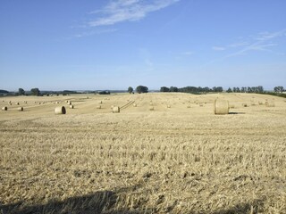 Apartment Steffenshagen Environment 24