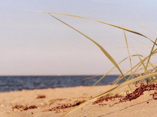 Appartement Steffenshagen Environnement 51