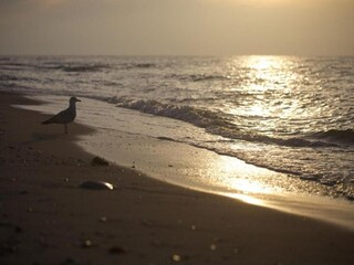 Appartement Steffenshagen Omgeving 39