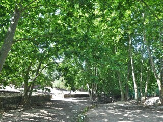 Casa de campo Artà Grabación al aire libre 12