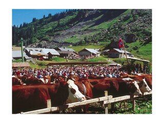 Alpine hut Châtel Environment 29
