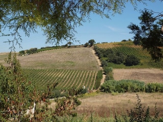 Villa Dois Portos Omgeving 38