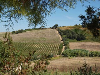 Villa Dois Portos Umgebung 38