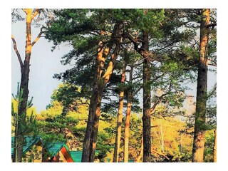 Bungalow Dźwirzyno Außenaufnahme 8