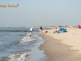 Apartamento de vacaciones Nieuwvliet Entorno 31