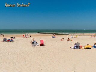 Casa per le vacanze Nieuwvliet Ambiente 14