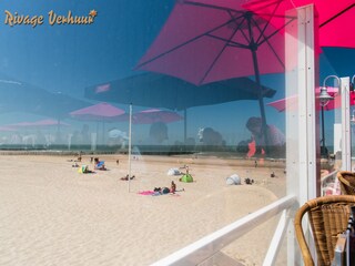 Casa per le vacanze Nieuwvliet Ambiente 15