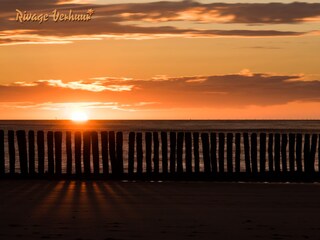 Casa per le vacanze Nieuwvliet Ambiente 16