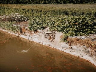 Holiday cottage La Roque-Gageac Environment 36