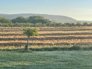 Maison de vacances La Roque-Gageac Environnement 39
