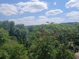 Holiday cottage La Roque-Gageac Environment 38