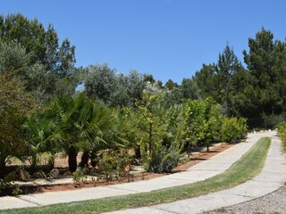 Villa Sant Josep de sa Talaia Grabación al aire libre 20