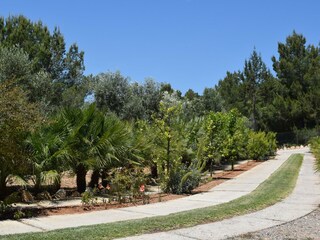 Villa Sant Josep de sa Talaia Registrazione all'aperto 15